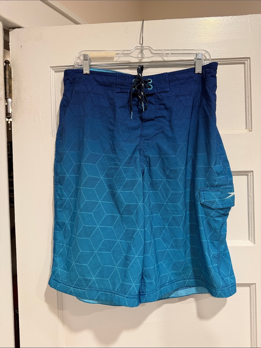 Speedo Men's Hexalator Delta Board Shorts